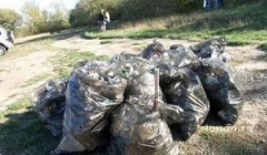 Новости  - Студенты займутся очисткой лесов